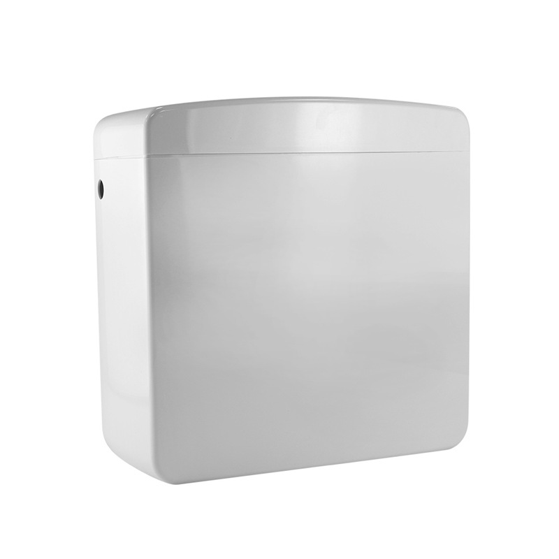 Anpassa PP-plastinjektionsform för Dual Flushing Cistern